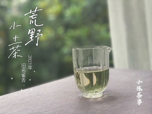 2021荒野小土茶 從宋朝雀舌到今朝菜茶的傳承與新生