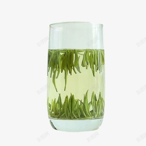 竹葉青茶 鮮活草本滋補，至美容顏的綠茶之選