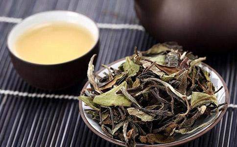 品鑒貢眉茶 不只飲品，更是雅致生活的藝術品